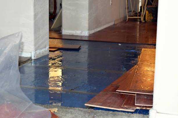 Professional Water Damage Restoration technician working in North Sutton, NH